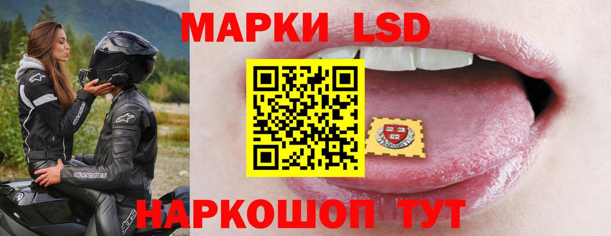 мега зеркало  Лсд 25 экстази  Вход с VPN  LSD-25 экстази кислота  Каменск-Шахтинский 