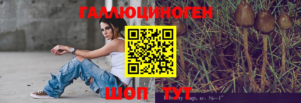 Галлюциногенные грибы Magic Shrooms  Вход с VPN  где купить наркоту  Каменск-Шахтинский 